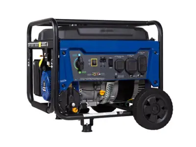 Dual Fuel Generator in Saint Clair Shores
