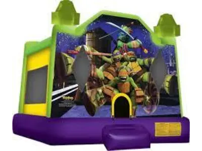Ninja Turtles in Warren