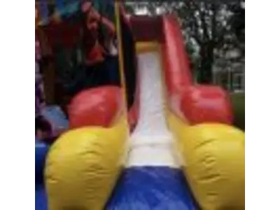 Mickey Park Combo #136 in Windermere