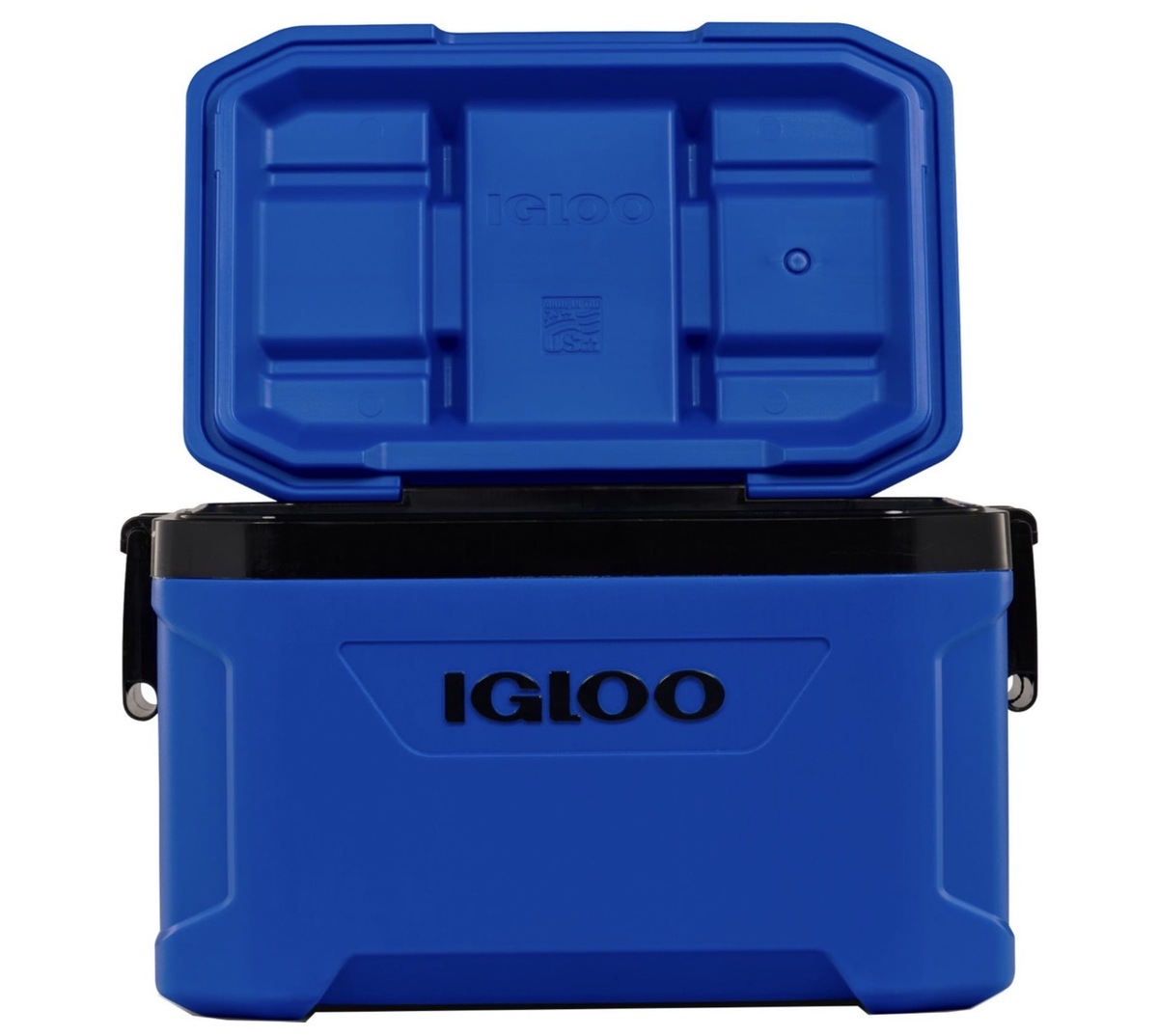 Blue Igloo Coolers in Richmond