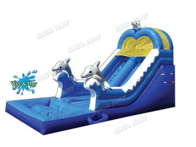 Dolphin Wet & Dry Slide