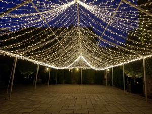 Canopy Lighting - 20x40 Coverage