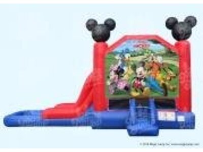 Mickey and friends combo (just arrived) dry