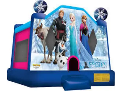 Frozen in Madison Heights