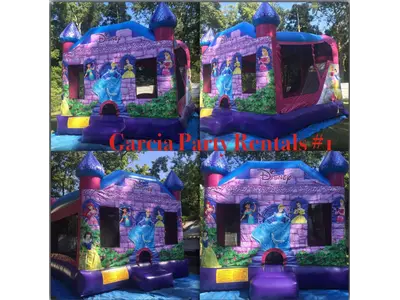 2n1 Princess in  Crockett