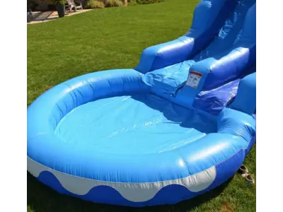 INFLATABLE DOLPHIN WATER SLIDE in BRADENTON