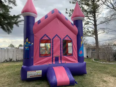 Princess Bounce House in Hansen