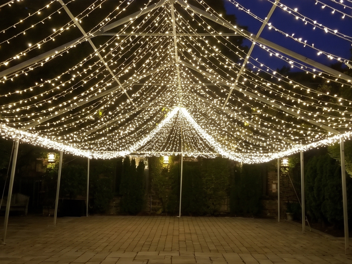 Canopy Lighting - 20x20 Coverage in Alexandria
