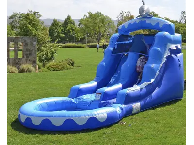 INFLATABLE DOLPHIN WATER SLIDE in BRADENTON