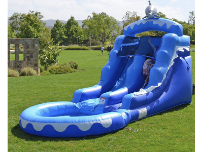 INFLATABLE DOLPHIN WATER SLIDE