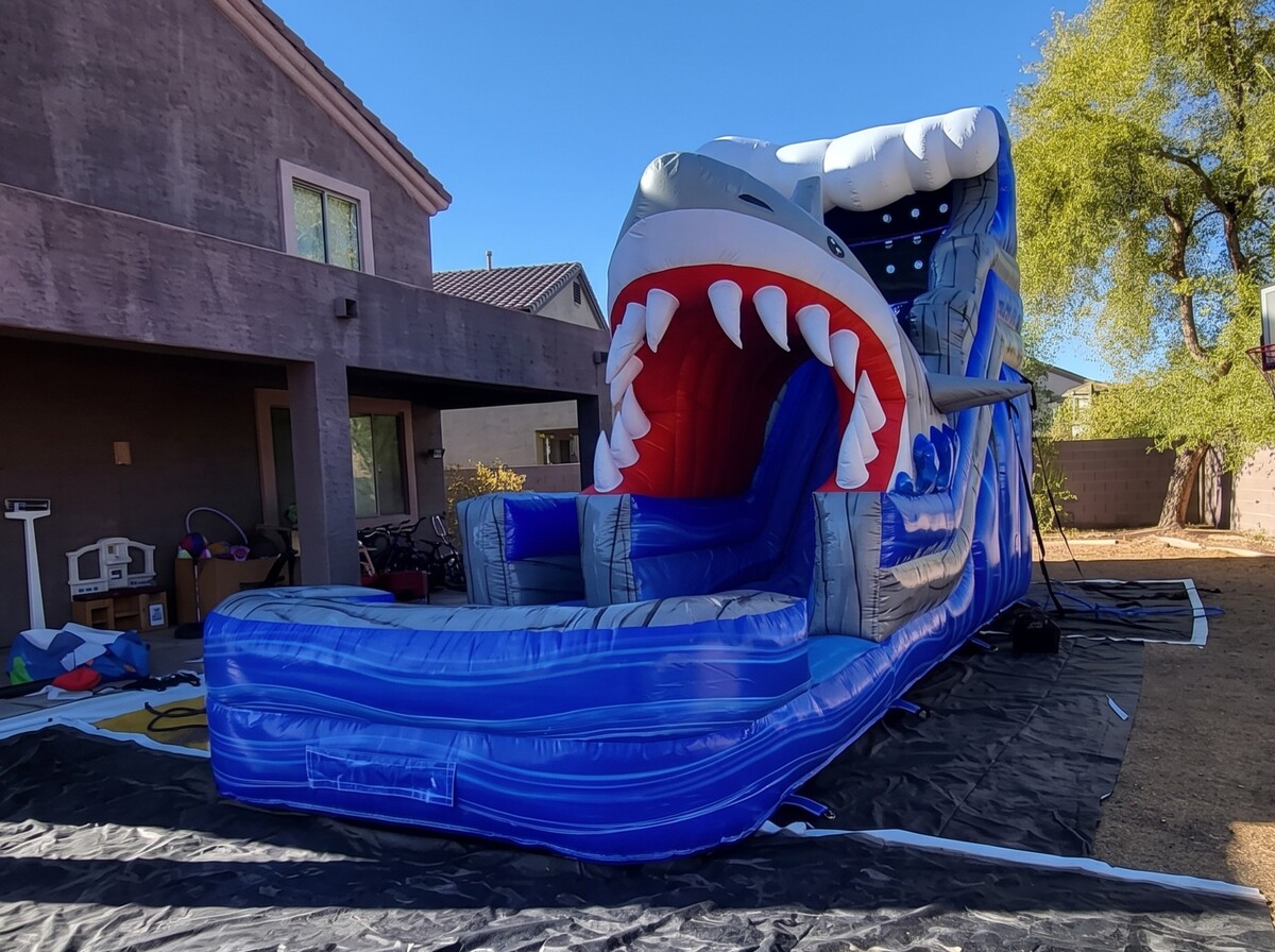 20ft Shark Water Slide in Chandler