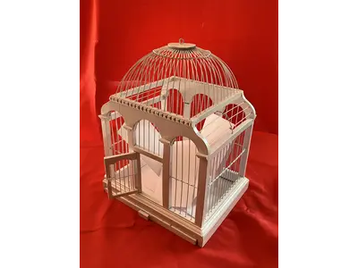 Gift envelope birdcage in Stanhope