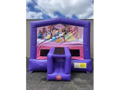 Disney Princess Module in Madison Heights