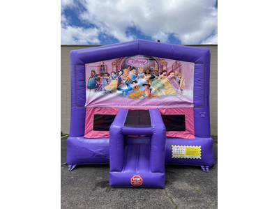 Disney Princess Module 