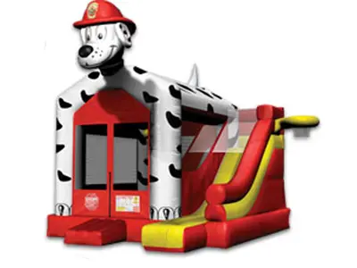 5 - 1 DALMATIAN COMBO in Dennisville