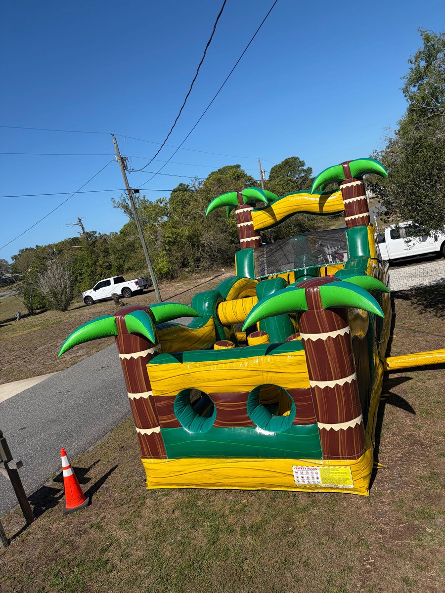bounce tropical in Springhills