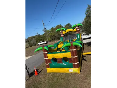 bounce tropical in Springhills