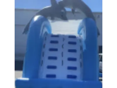 18' Dolphin Splash Waterslide #503 in meadow wood