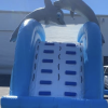 18' Dolphin Splash Waterslide #503 in meadow wood