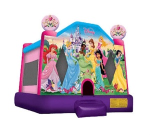 Princess Bouncy Castle