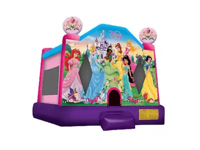 Princess Bouncy Castle in Waterloo
