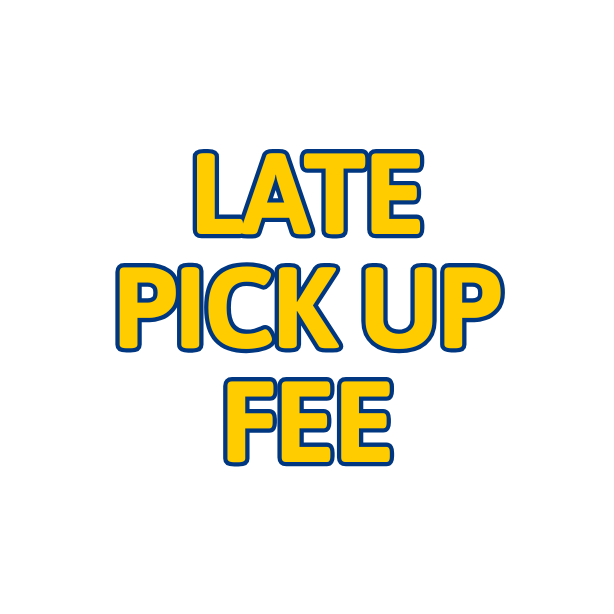 Overnight Pick Up Fee in Nashville