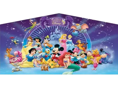 Disneyworld banner x in San Antonio
