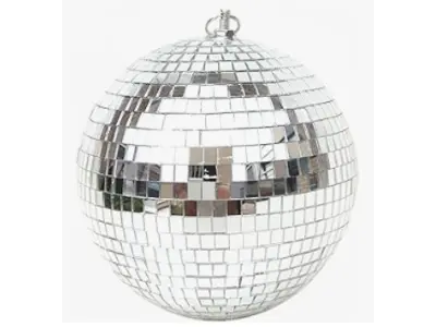 Disco Ball - Silver - 8" in Loxachatchee