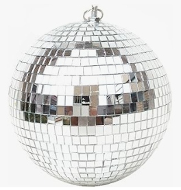 Disco Ball - Silver - 8" in Loxachatchee