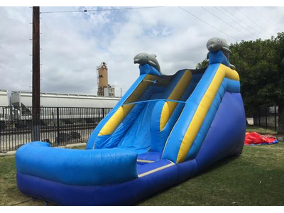 16ft Dolphins Water Slide