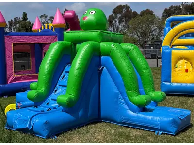 Green Octopus Slide in La Mesa
