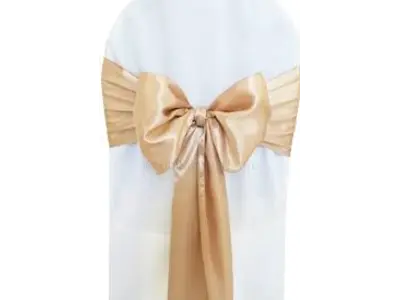 Gold Chair Sashes in Madison Heights