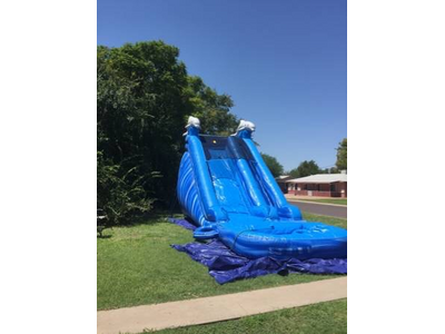 20ft Dolphins water slide