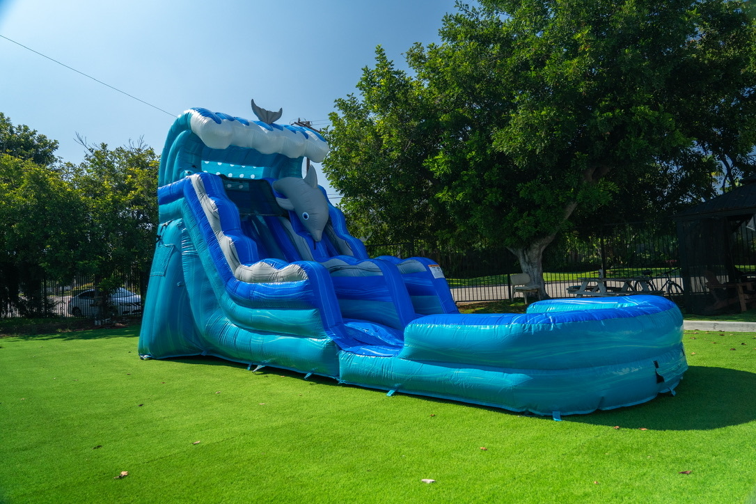 15ft Dolphin Slide in Richmond
