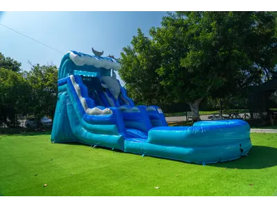 15ft Dolphin Slide in Richmond