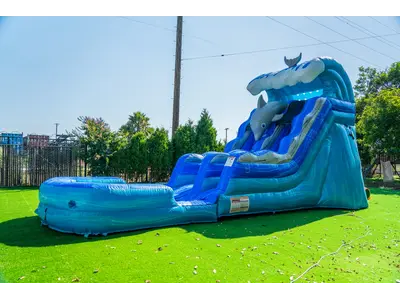 15ft Dolphin Slide in Richmond