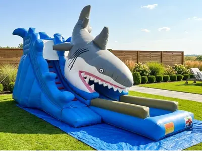 Shark Attack