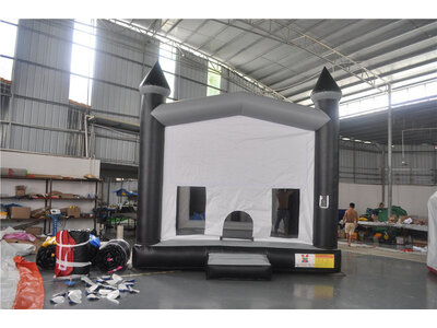 Black , Silver and White castle