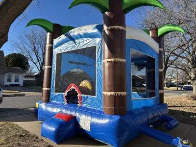 Shark Attack in Wichita Falls