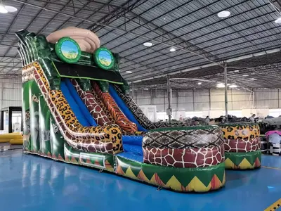 Wild Slide in Wichita Falls