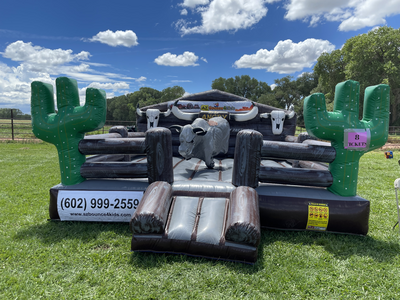 Mechanical Bull