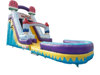 Popsicle Wet/Dry Slide in Madison Heights