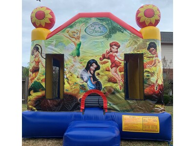 DISNEY FAIRIES