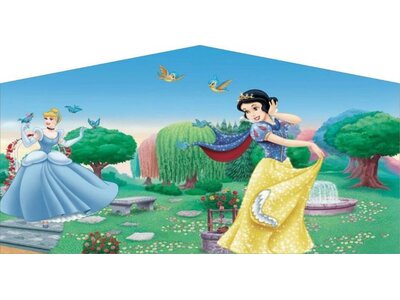 Princess banner x