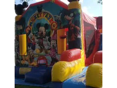 Mickey Park Combo #136 in Windermere