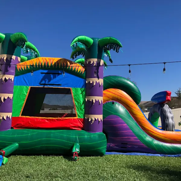 BOUNCE HOUSE WITH DRY SLIDE RENTALS