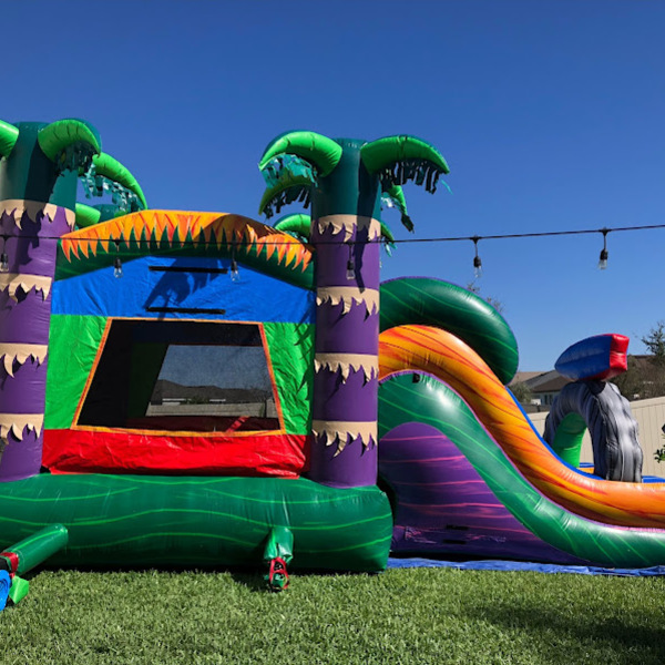 BOUNCE HOUSE WITH DRY SLIDE RENTALS