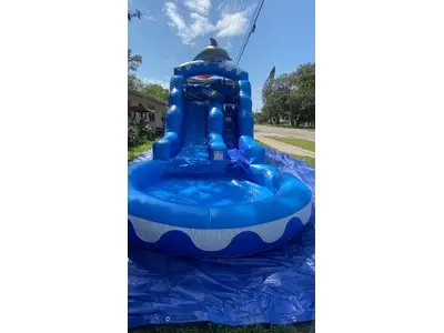 INFLATABLE DOLPHIN WATER SLIDE in BRADENTON