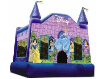 Disney Princess Castle in Varina