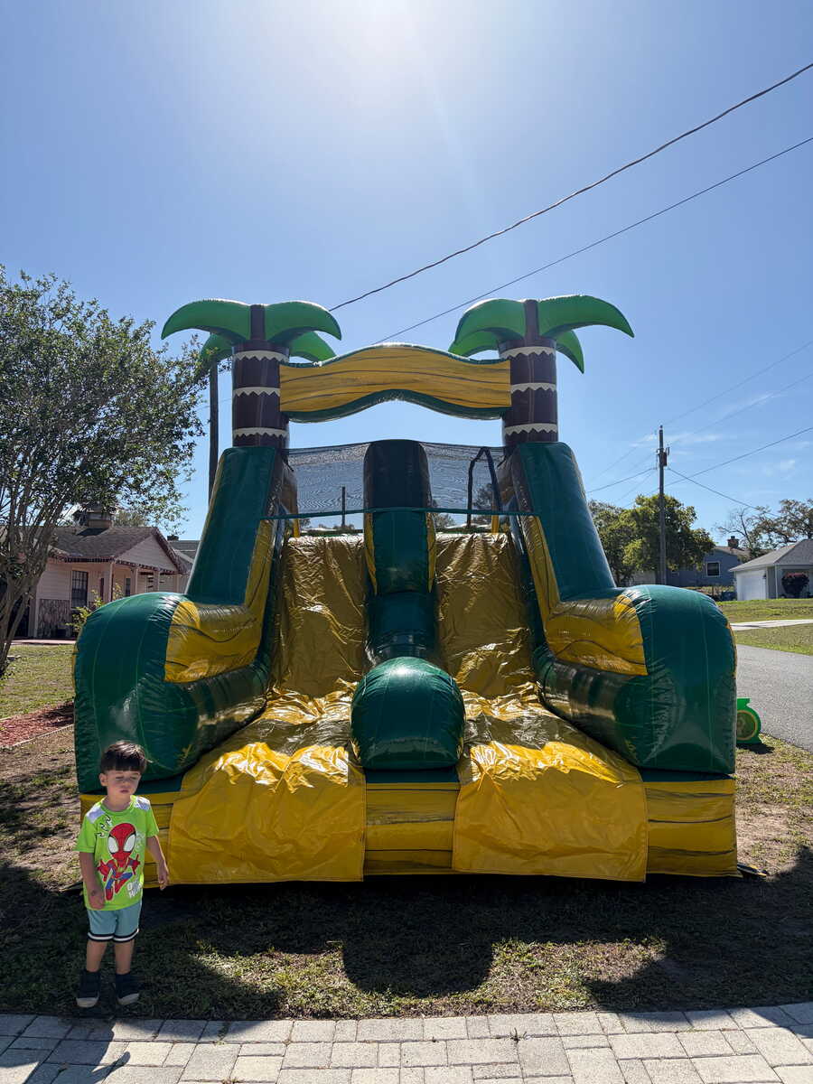 bounce tropical in Springhills